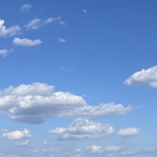 フレナーラ｜手汗がすごいのはストレスが原因ですか？手掌多汗症｜手汗用制汗ジェル｜